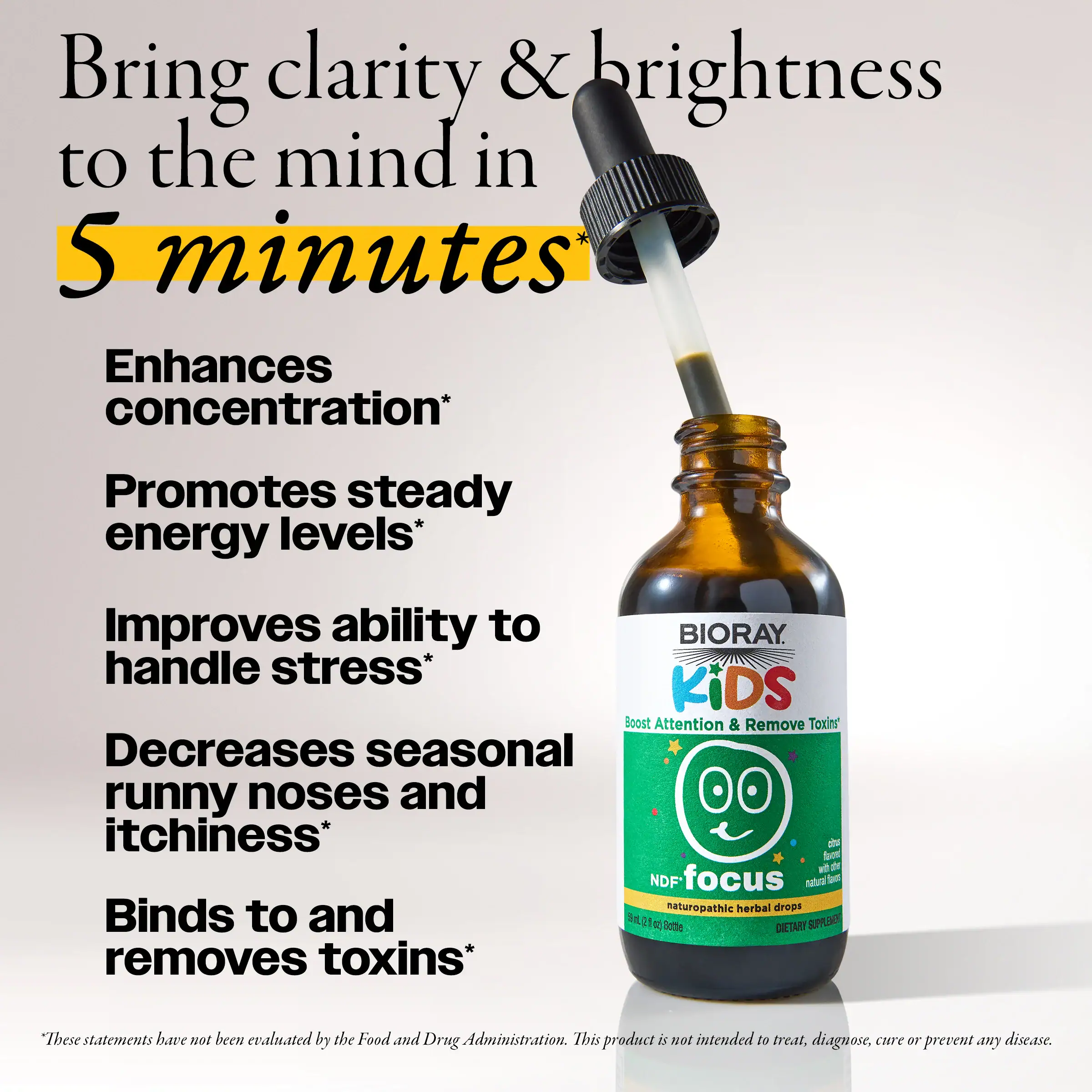 NDF Focus 4 NDF Focus