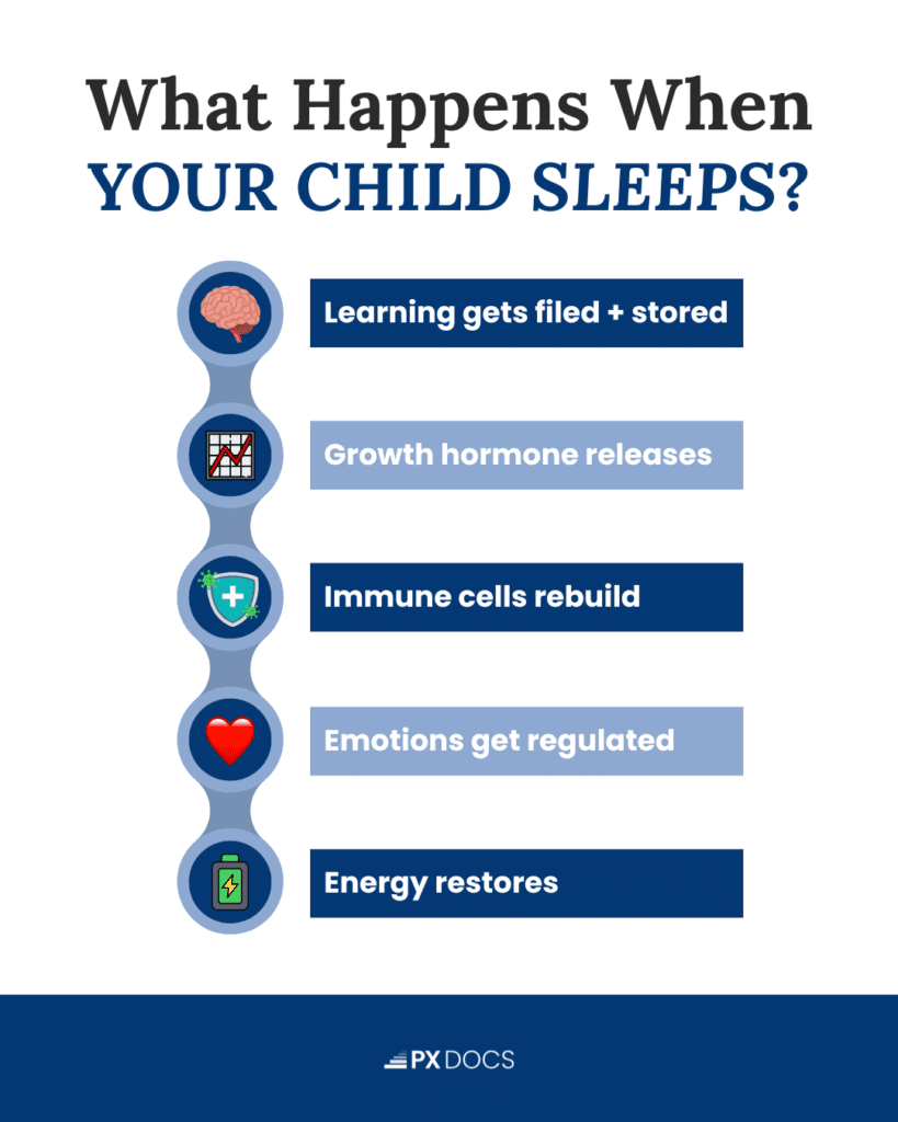 What Sleep Does for a Child's Brain and Body 1 | PX Docs