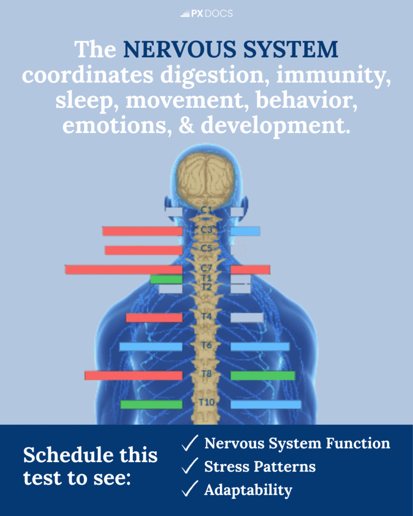 INSiGHT Scans: Understanding Your Child's Central Nervous System 2 | PX Docs
