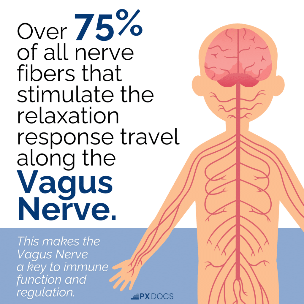 The Nervous System Connection in Mast Cell Activation Syndrome 1 | PX Docs