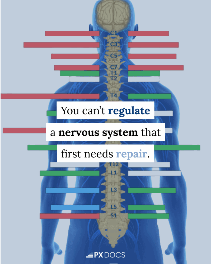 Repair Before Regulate: The Missing Link in Your Healing Journey 1 | PX Docs