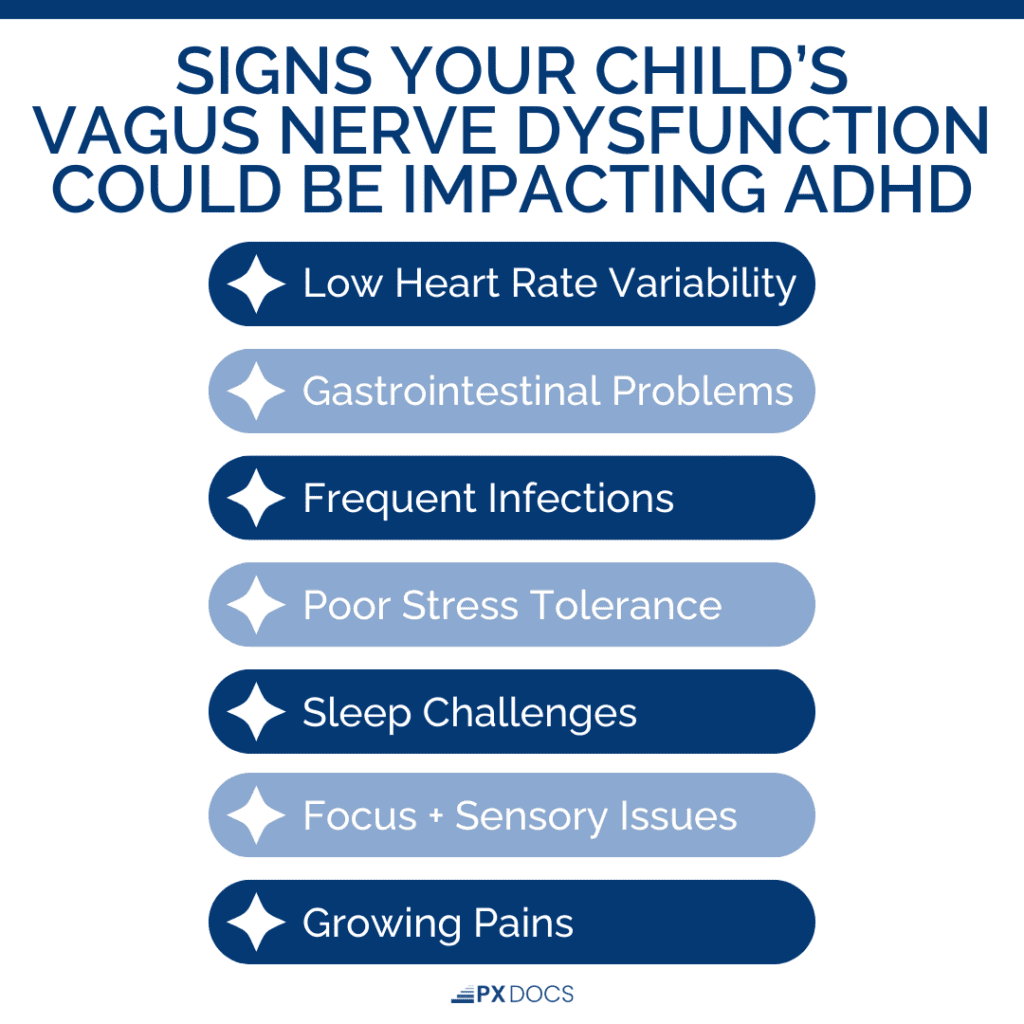 A Look at the Vagus Nerve and ADHD 1 | PX Docs