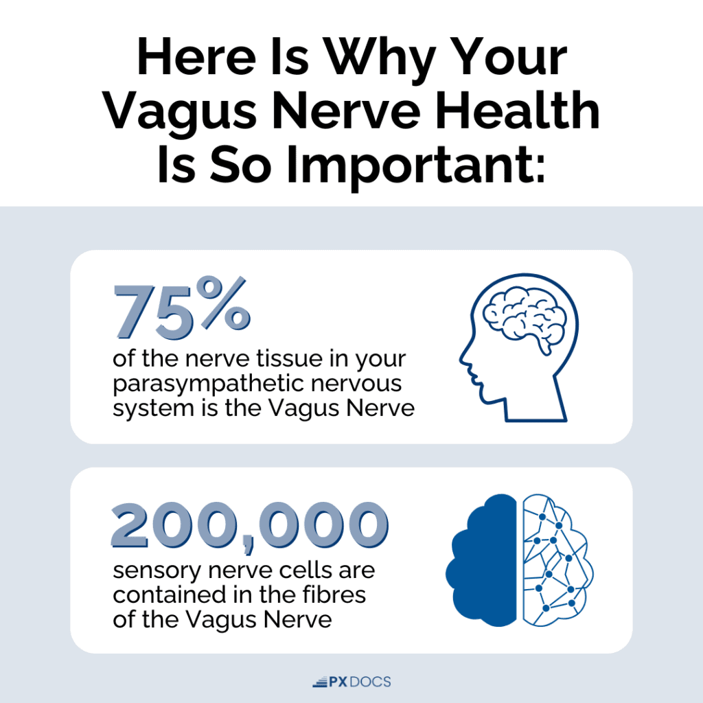 Vagus Nerve Disorders 1 | PX Docs