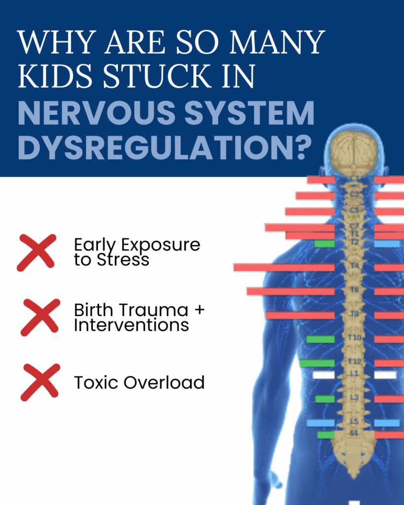 How to Fix Dysregulated Nervous Systems 1 | PX Docs