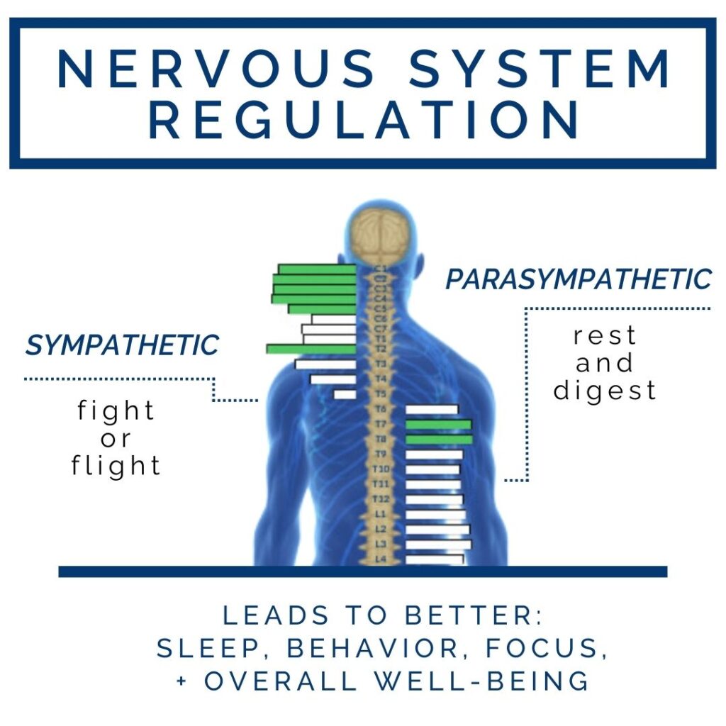 Nervous System Regulation: The Key to Optimal Health for Your Child en Espanol 1 | PX Docs