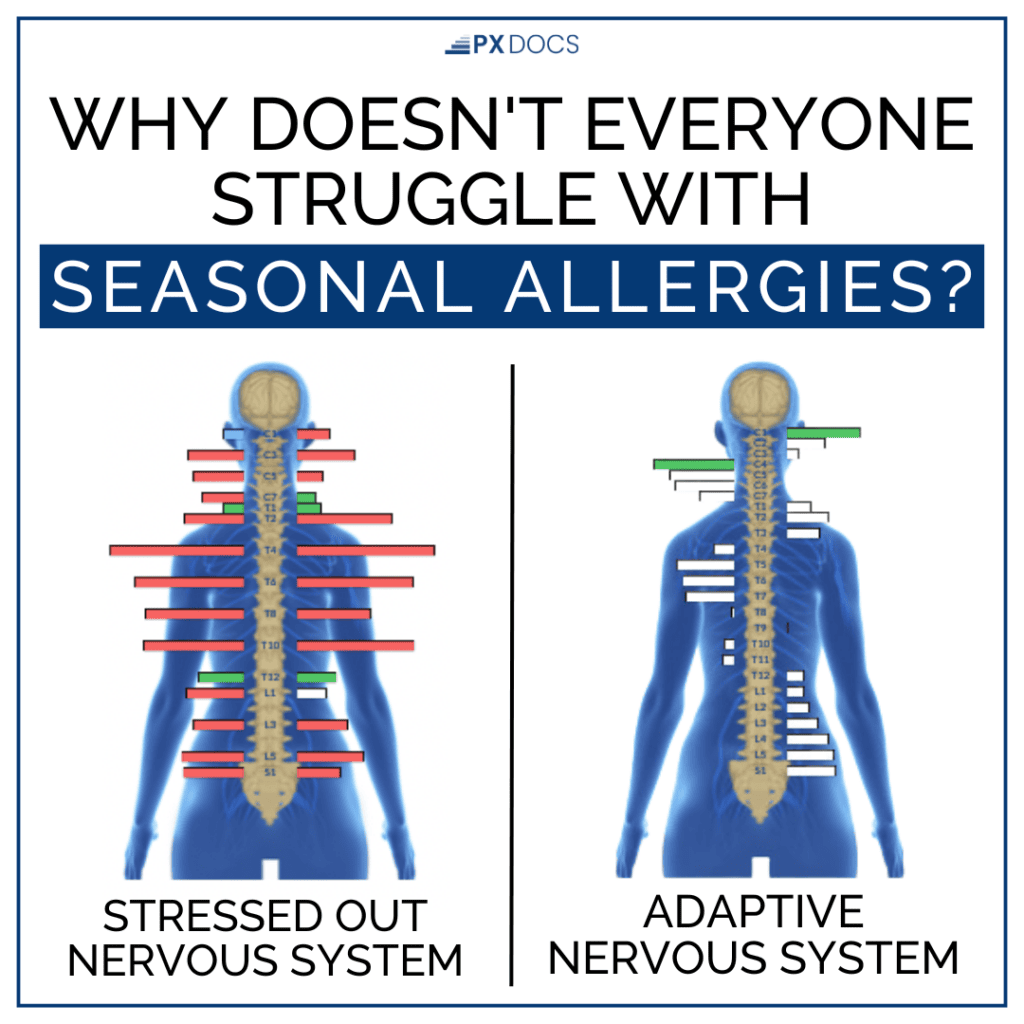 Everything You Need to Know About Seasonal Allergies 1 | PX Docs