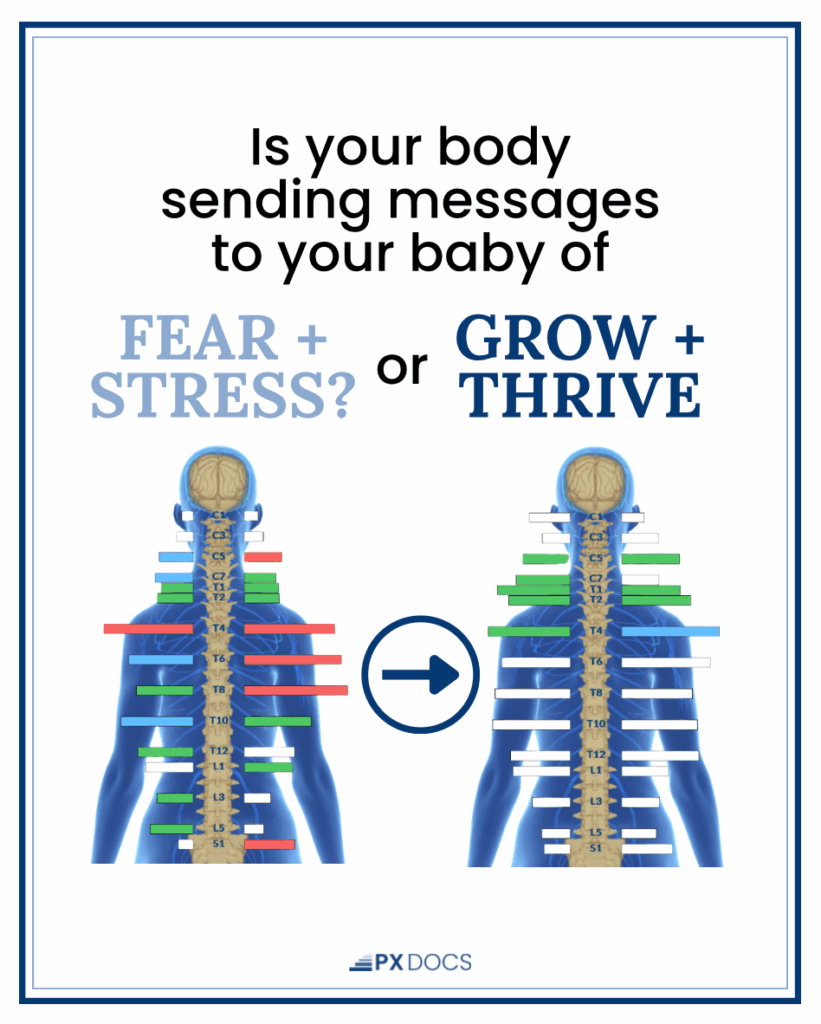 Why Nervous System Regulation Before Birth Matters Most 1 | PX Docs